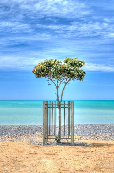 Ocean Summer