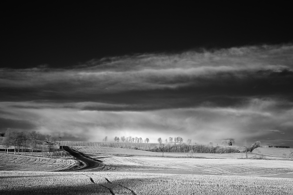 Open Landscape