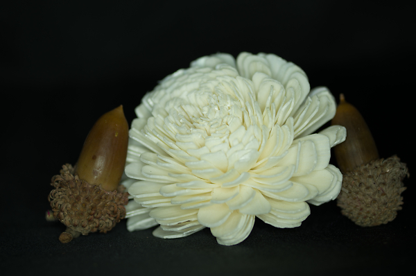 PotPourri 1