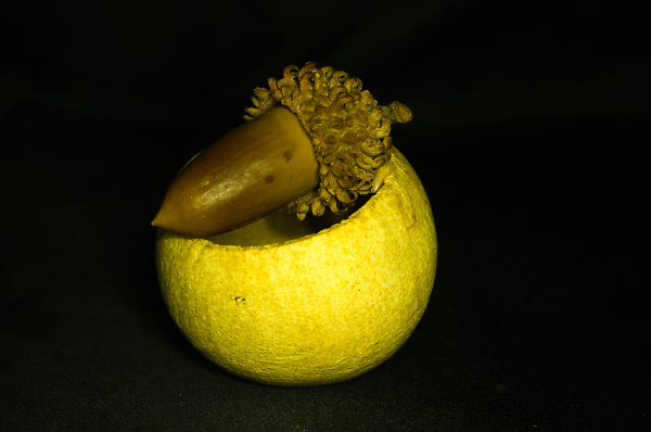 Potpourri 3