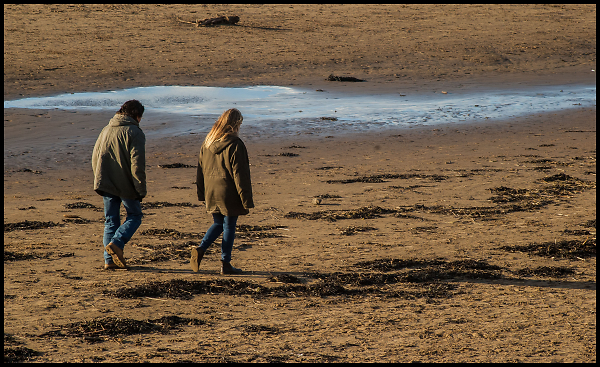 Winter Walk