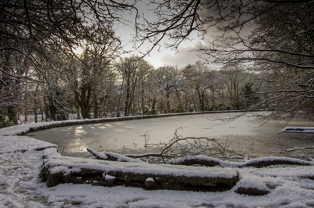 Snowy walk