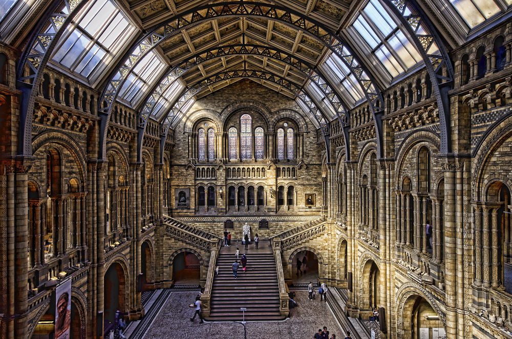 The natural history museum , London.