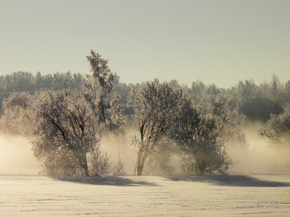 Winter