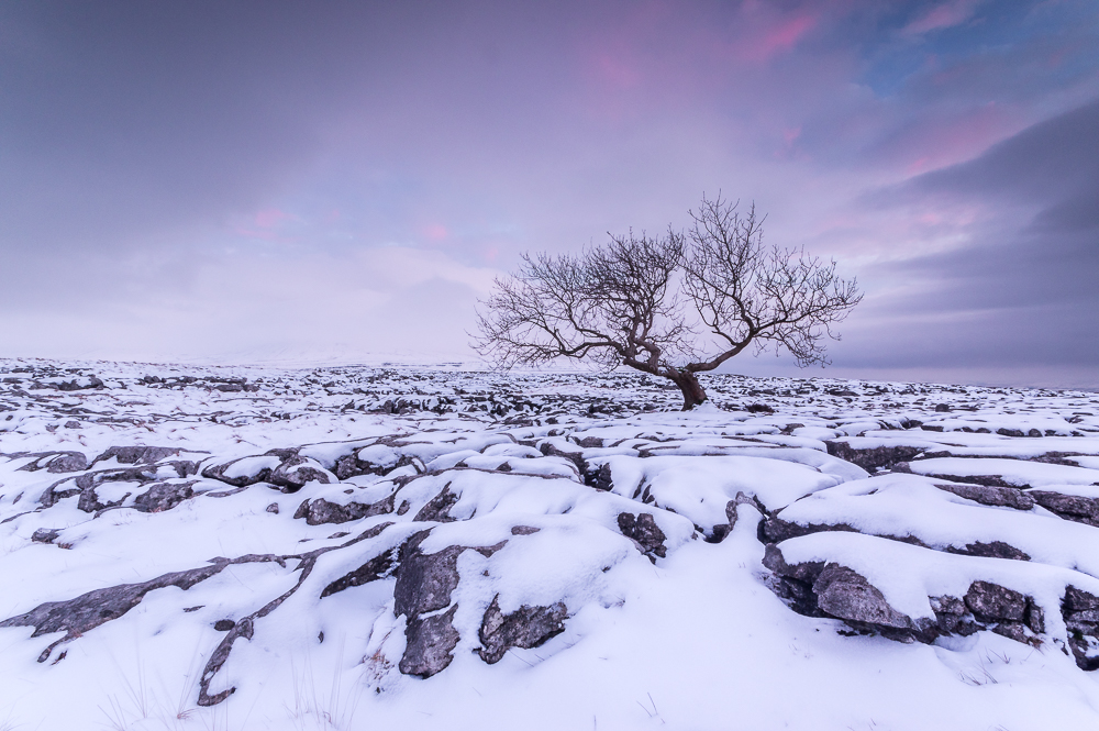 Yorkshire Dales, Snow II