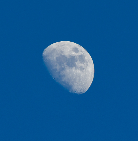 Adrift in a sea of blue