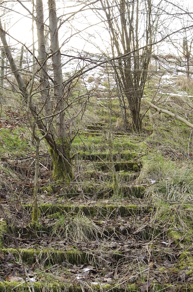 Forgotten Steps