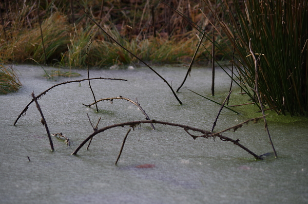 Frozen lake