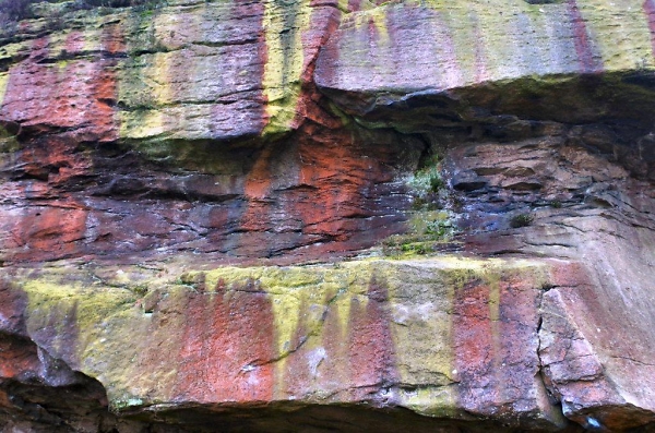 Ilkley Moor Rocks