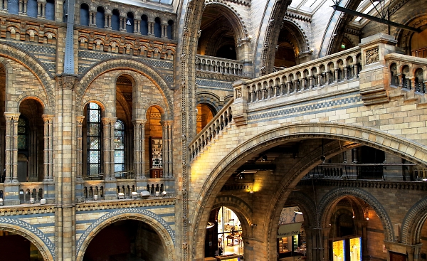 Natural History Museum
