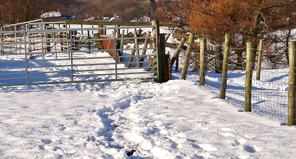 Shut that Gate