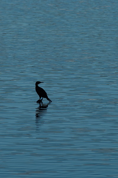 solitude