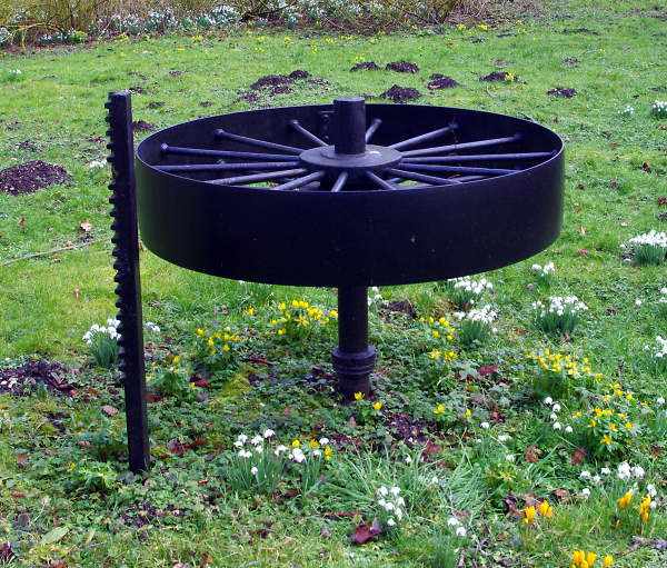 Wheel