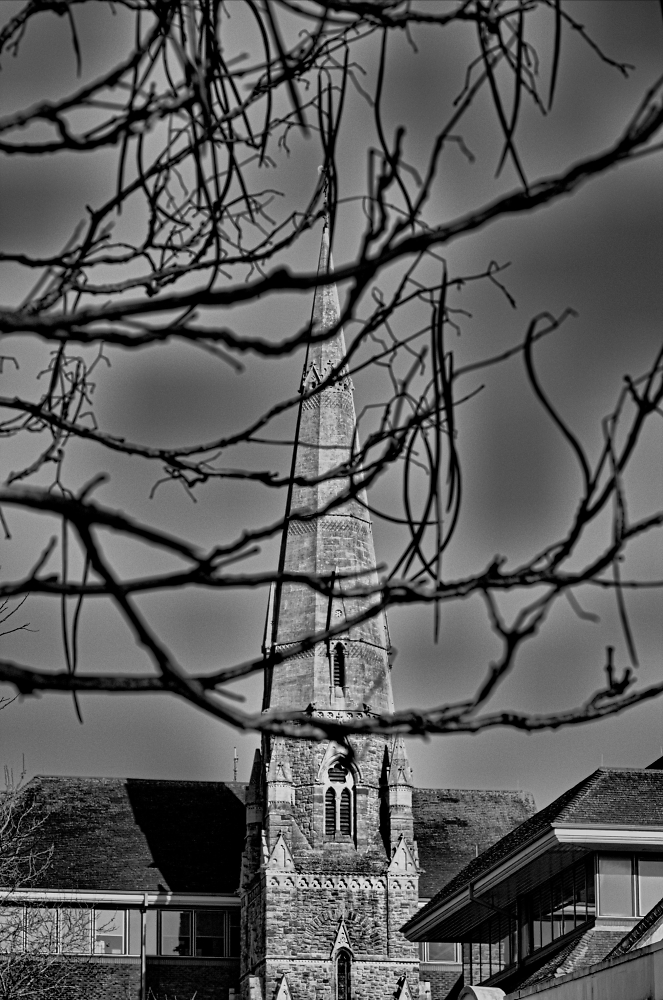 Tree and spire