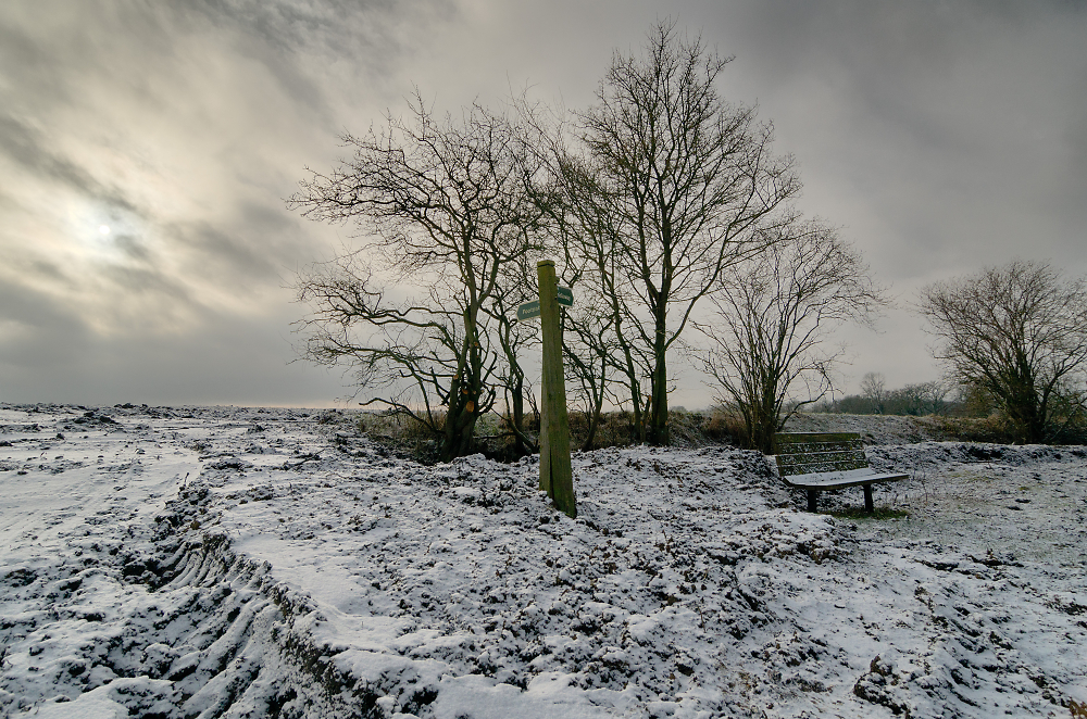 Wintry morning