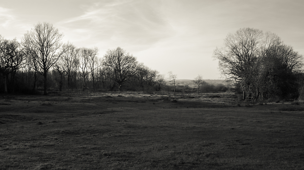 Common Land