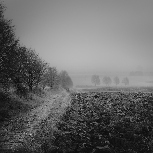 Damp day...
