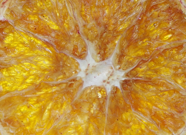 dried fruit
