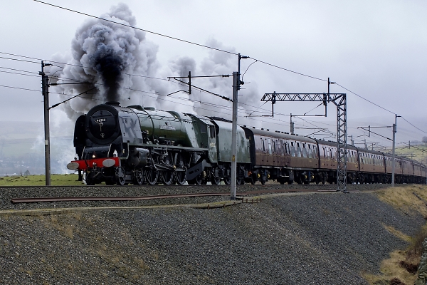Duchess at Shap