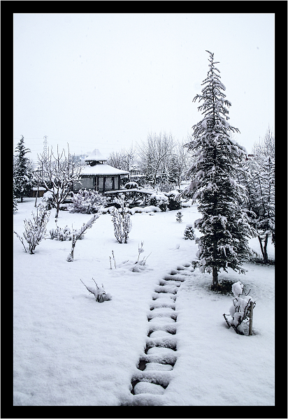 Garden in Snow