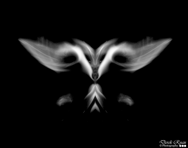 Like a moth to a flame