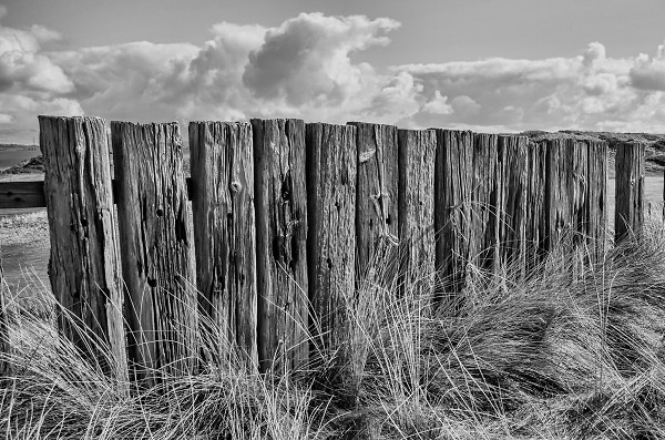 Old fence