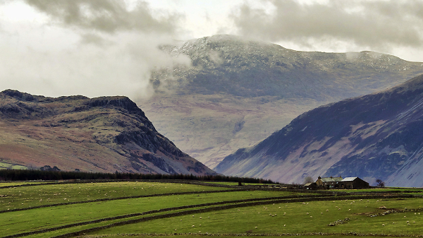 Scafell from Whinnerah