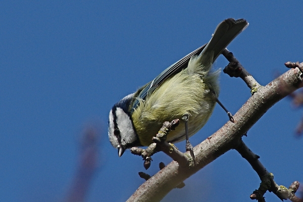 Spring in the air?