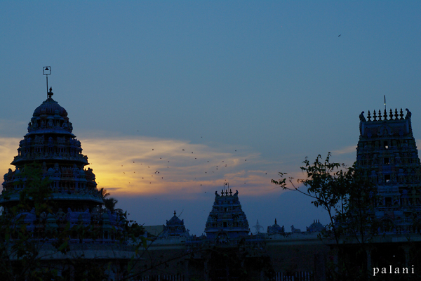 Temple