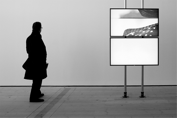 The connoisseur