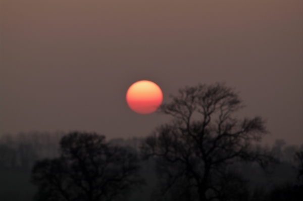 TheSun