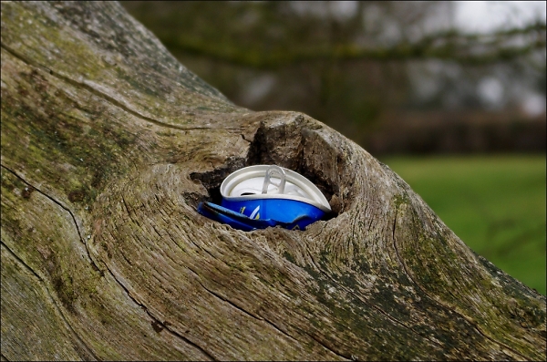 When litter morphs into artform?