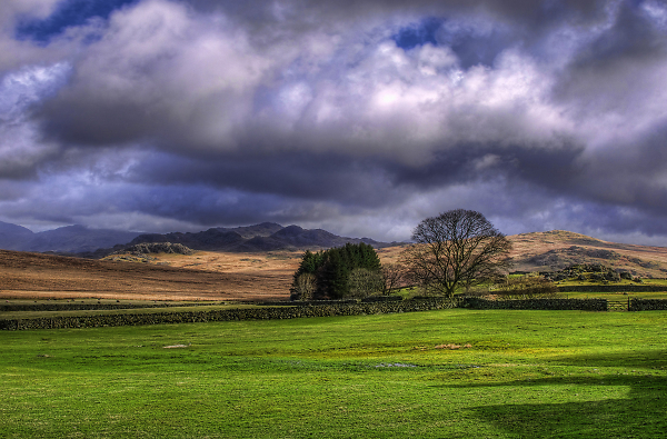 Woodend