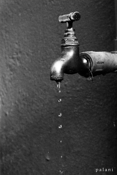 World Water Day 2015 - 1