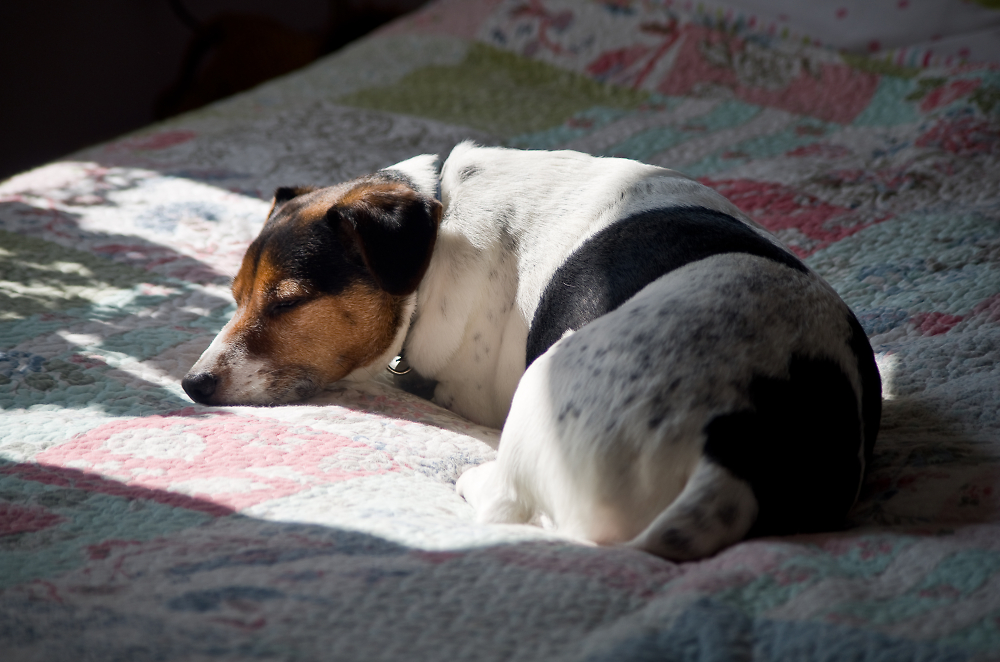 Hard life !