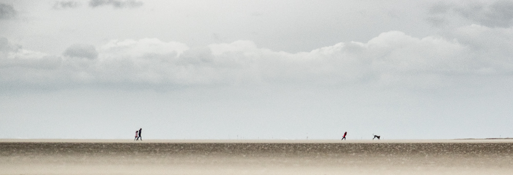 Into the Wind