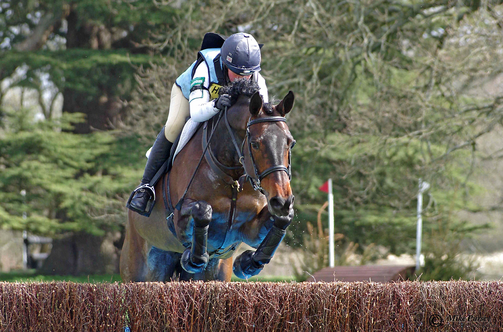 Somerley Park International Horse Trials 2015