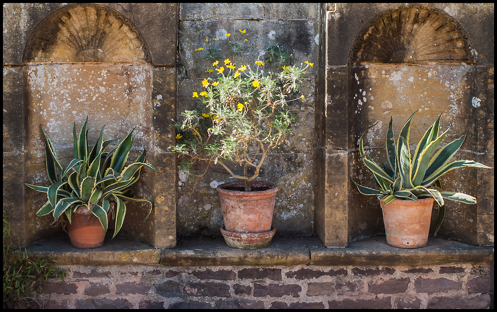 Three Terracotta Pots