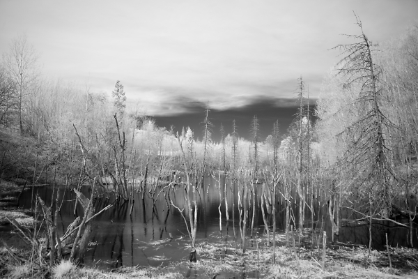 Barren River