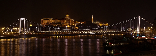 Budapest Castle and Elizabeth Bridge
