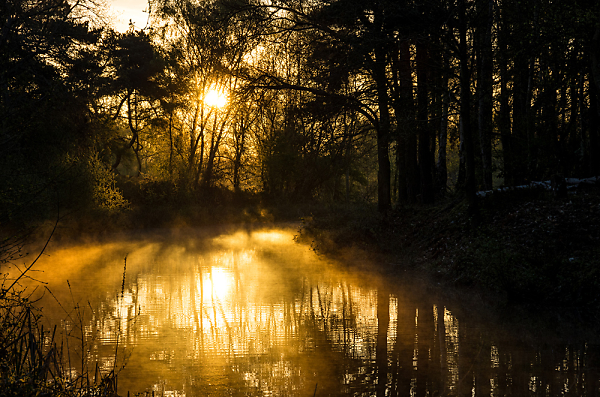 Canal Dawn in April