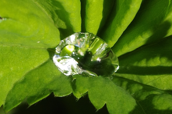 Diamond