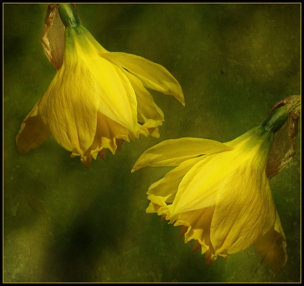 Double act
