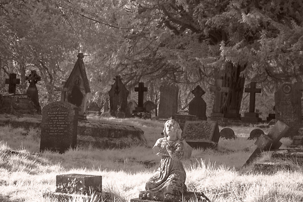 Fallen Angel