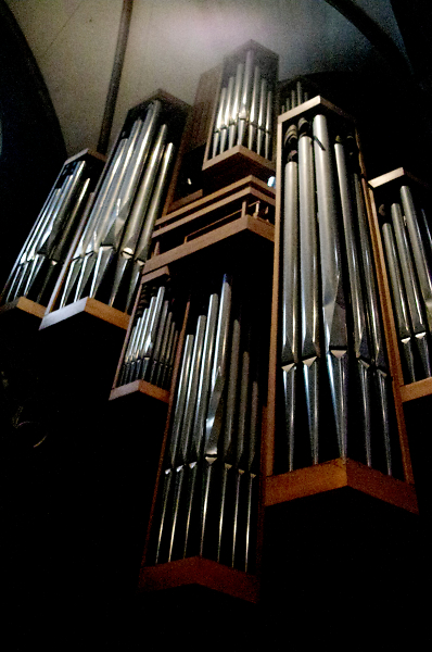 Organ Pipes