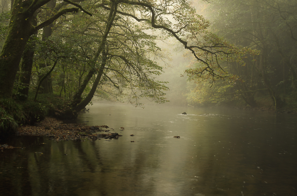 River Scene