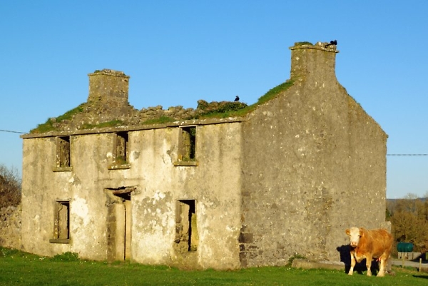 Rural Ireland