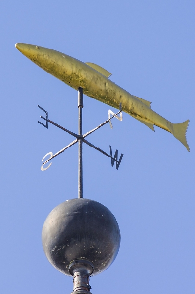 The Golden Fish.