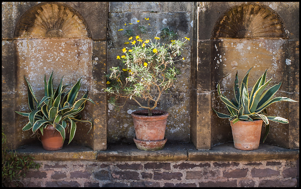 Three Terracotta Pots