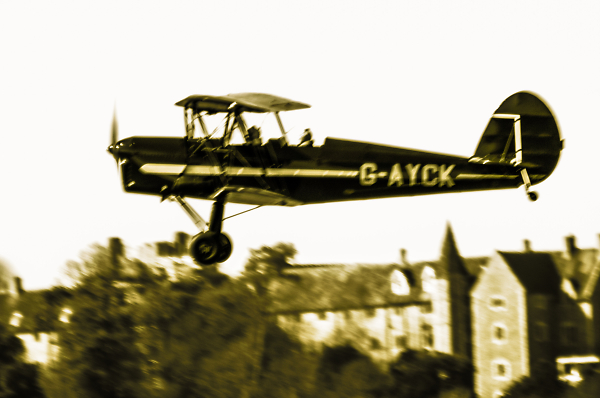 Tiger Moth
